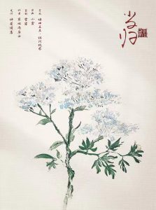 剧本杀红豆2·月光复盘